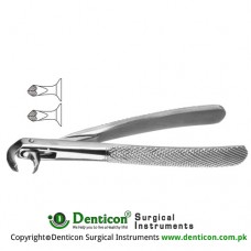 Hawk's Bill English Pattern Tooth Extracting Forcep (Child) Fig. 161 (For Lower Molars) Stainless Steel, Standard